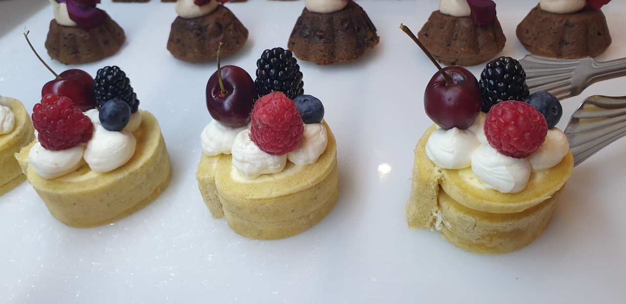 Gastro JAZ Elite Asteria