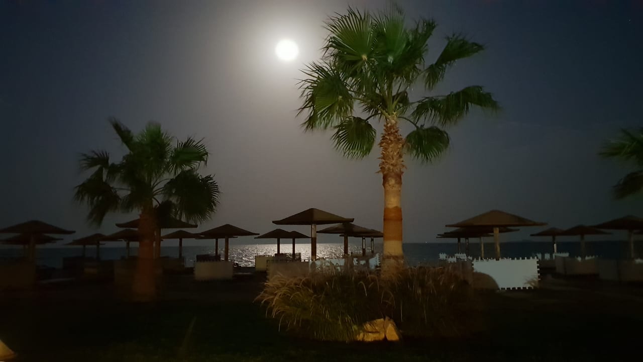 Ausblick Shams Prestige Abu Soma-Adults Only