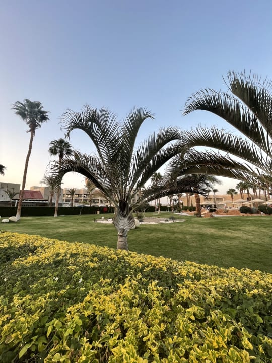 Gartenanlage Pickalbatros Aqua Park Resort - Hurghada