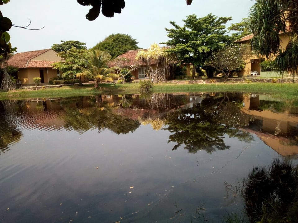 Gartenanlage Club Palm Bay