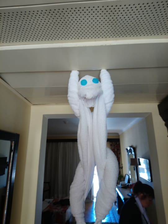 Zimmer Regency Plaza Aqua Park & Spa