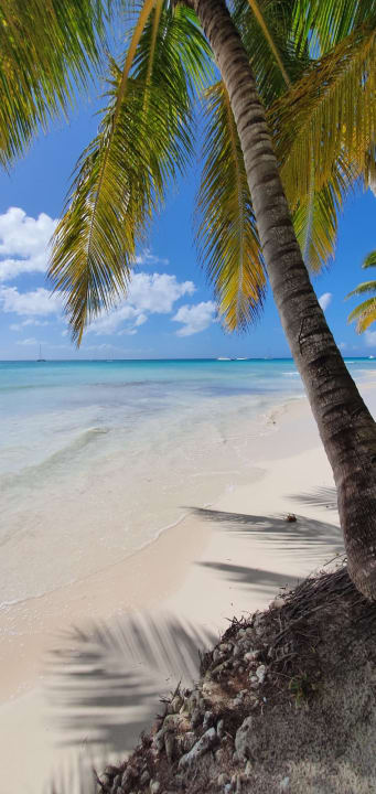 Strand Catalonia Punta Cana - All Inclusive