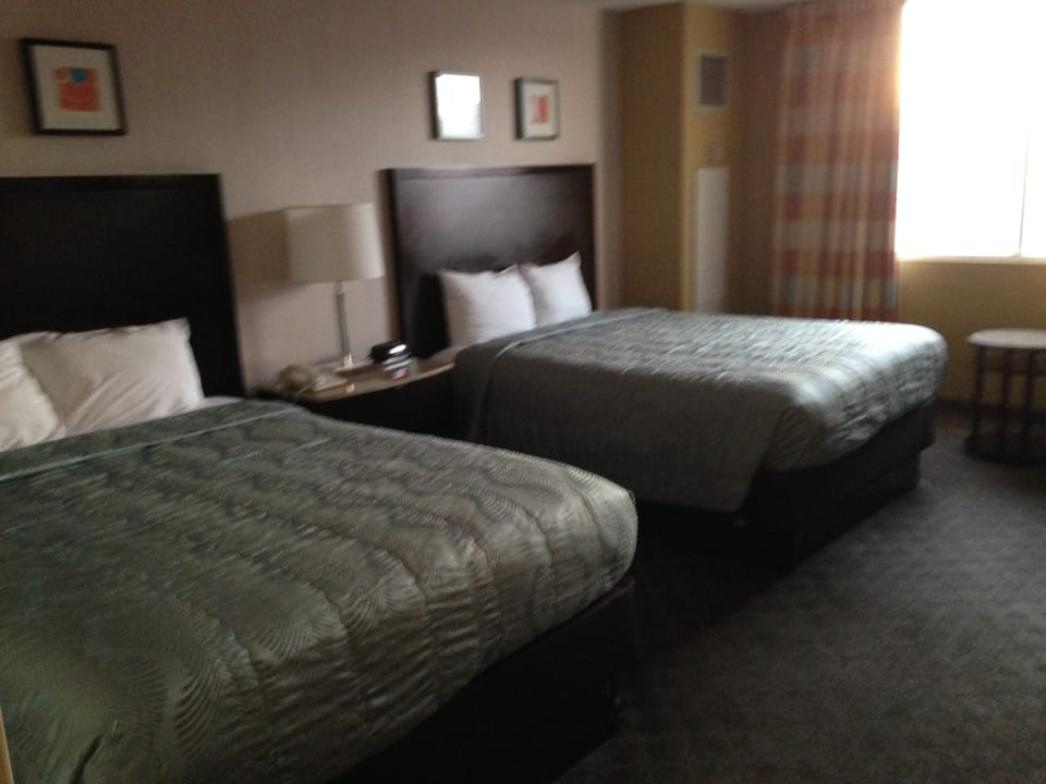 Zimmer Hotel Circus Circus