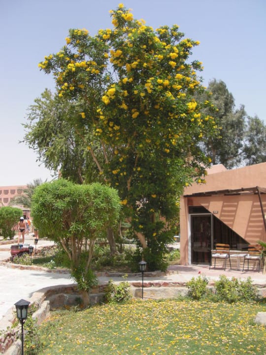 Bungalows Eagles Paradise Abu Soma