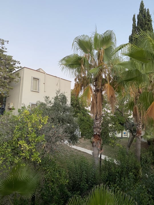 Gartenanlage Mira Meridia Beach Hotel