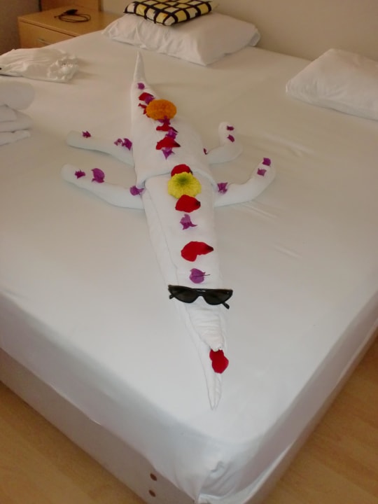 Krokodil Solivia Hotel