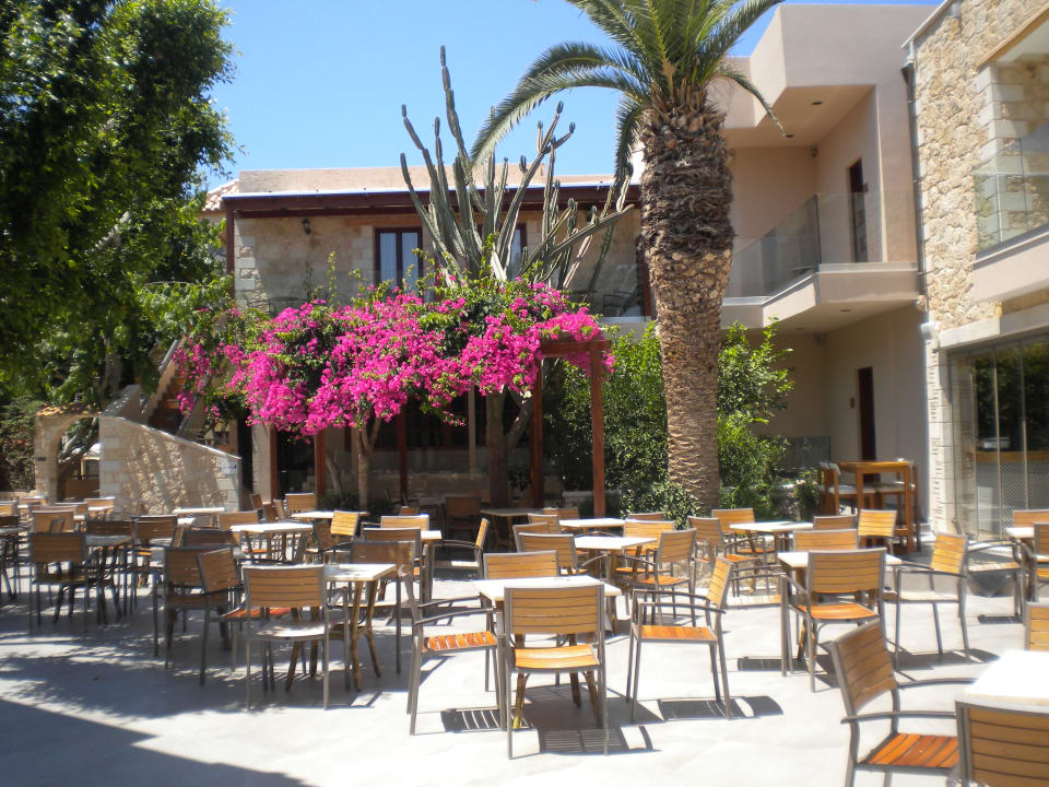 Sonstiges Cactus Beach