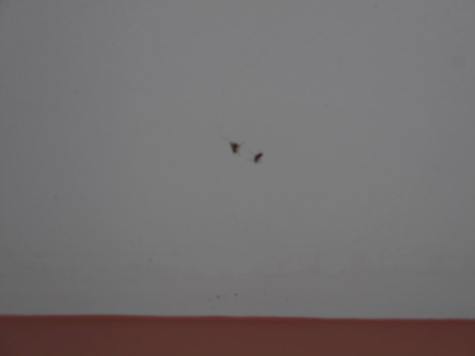 Zimmer Playamarina Hotel