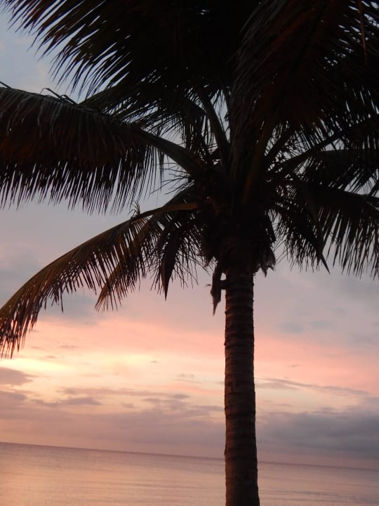 Paradiesisch schön Hotel Roc Barlovento