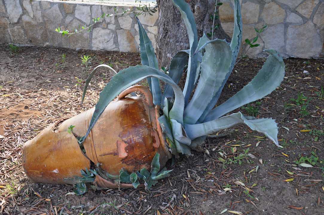 Garten Hotel Piccolo Friuli