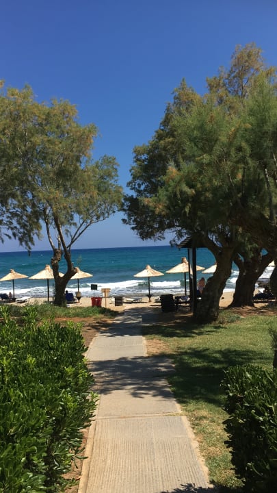 Strand Phãea Cretan Malia