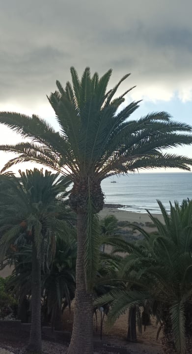 Ausblick SBH Monica Beach Resort