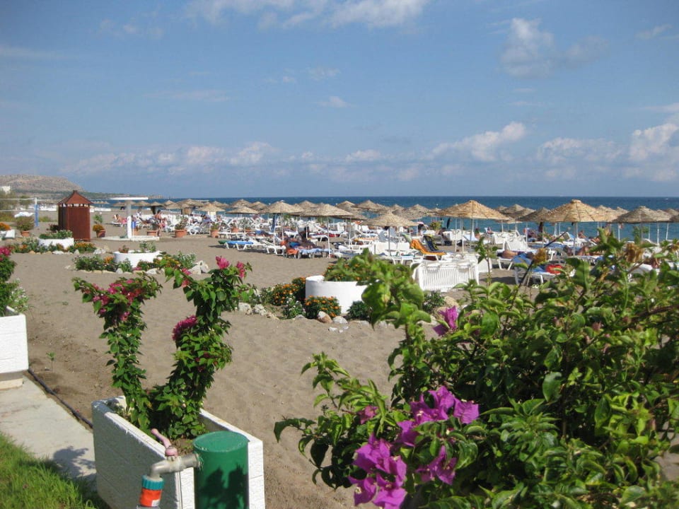 Blick zum Strand Hotel Calypso Beach