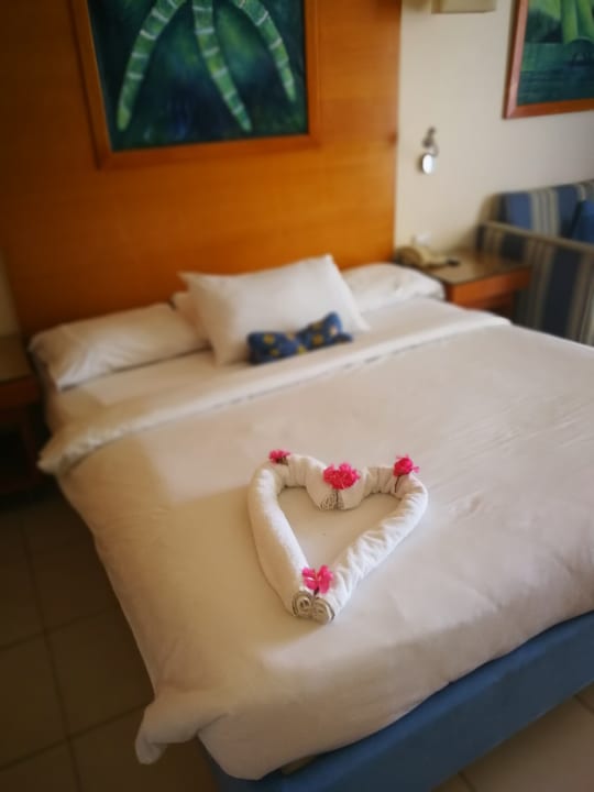 Zimmer Parrotel Beach Resort