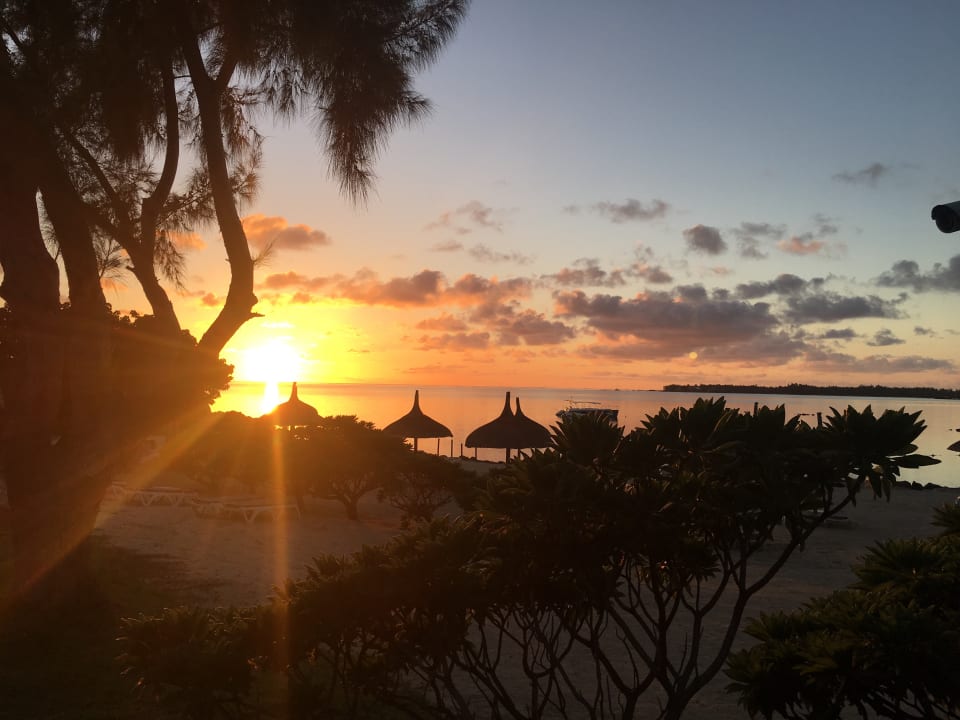 Ausblick Lagoon Attitude - Adults only