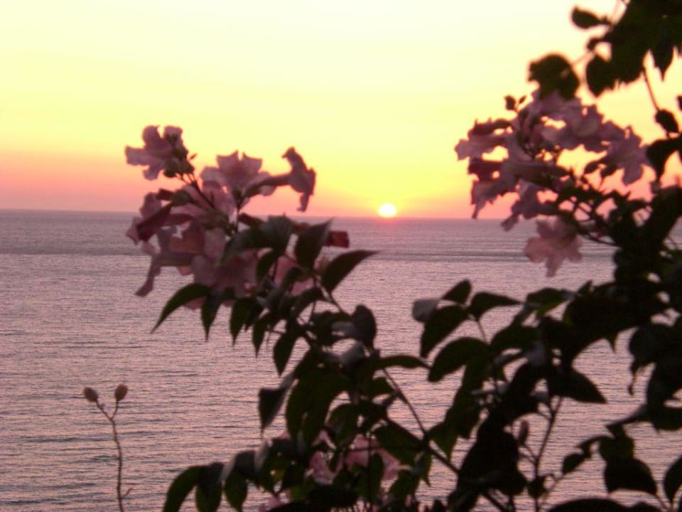 Zimmer-Ausblick  Bella Vista Apartments Pelekas