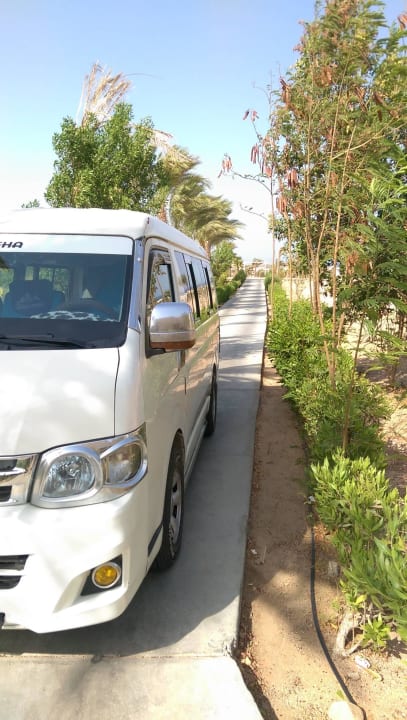 Shuttlebus zum Strand Steigenberger Makadi Hotel - Adults only