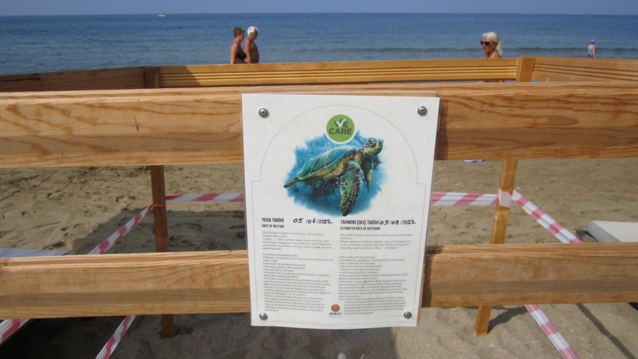 Sonstiges Acanthus Cennet Barut Collection