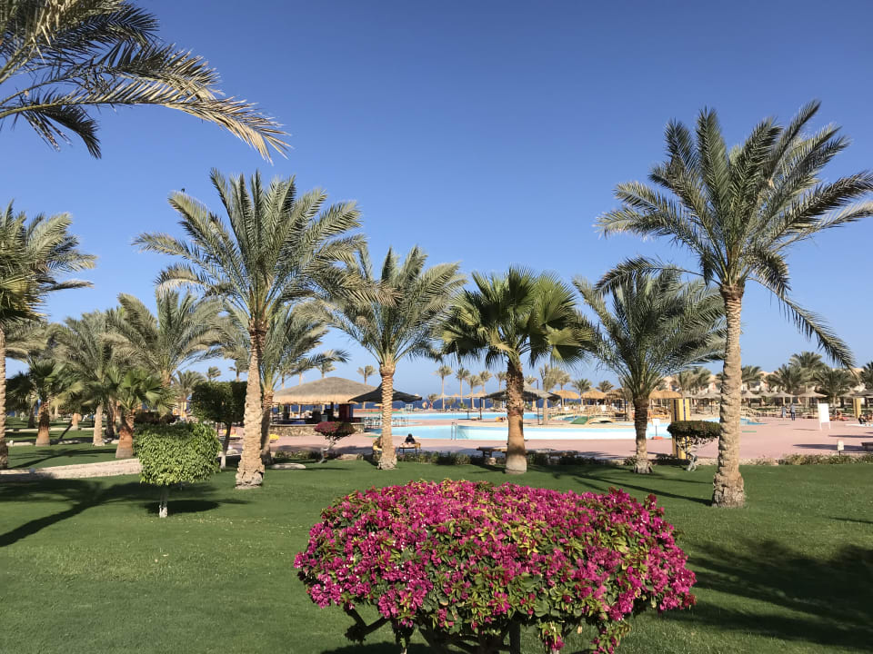 Gartenanlage Three Corners Sea Beach Resort