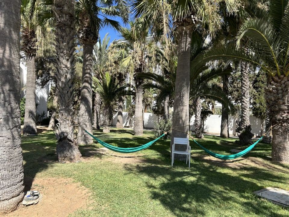 Gartenanlage Hotel Marhaba Palace