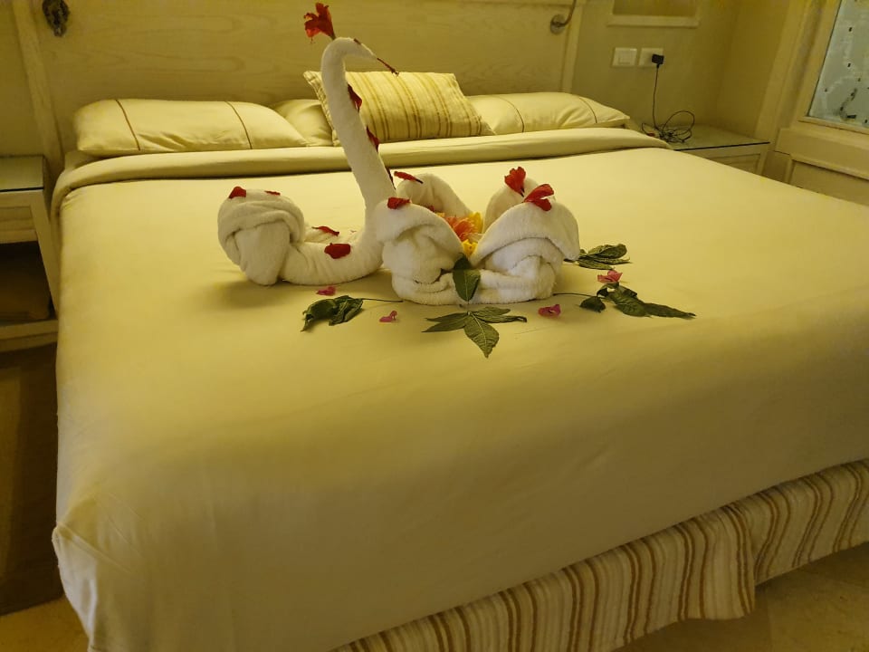 Zimmer Makadi Spa - Adults only