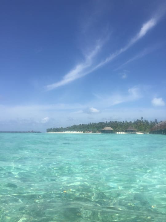 Aussicht  Meeru Maldives Resort Island