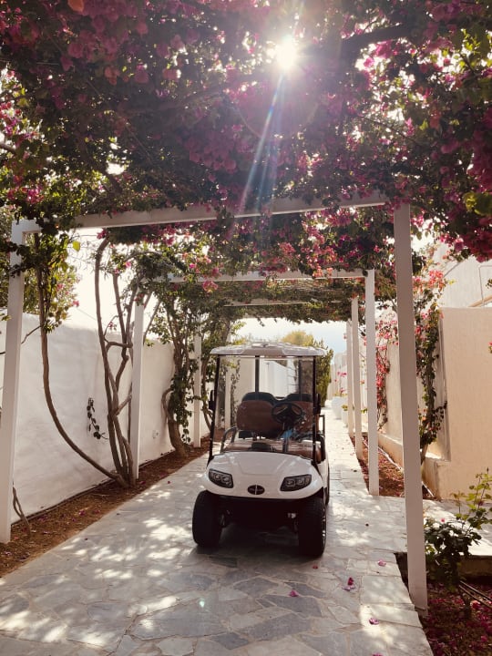 Gartenanlage Knossos Beach Bungalows Suites Resort & Spa