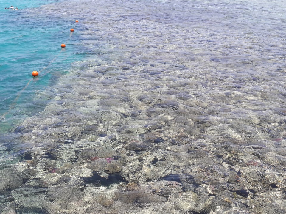 Strand Stella Garden Resort & Spa, Makadi Bay