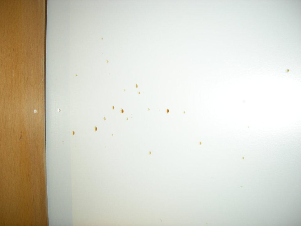 Dreck an der Tür und auf dem Bettlaken Hotel Nettuno