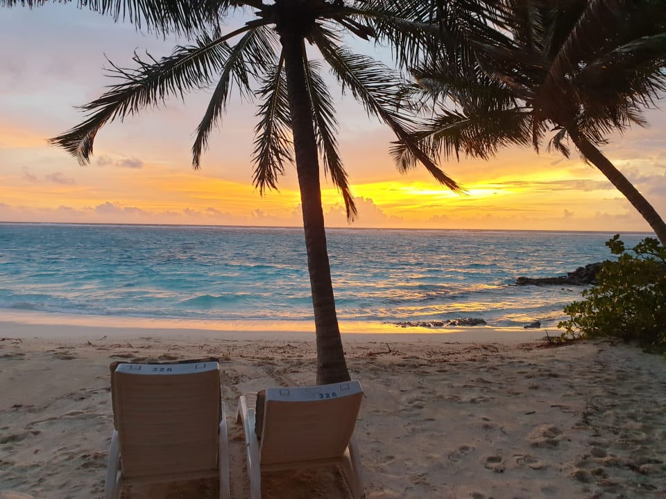 Strand Summer Island Maldives