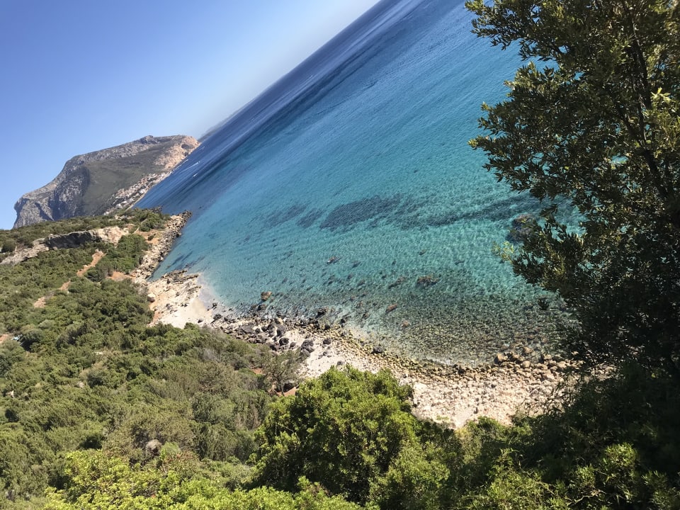 Strand Club Esse Palmasera