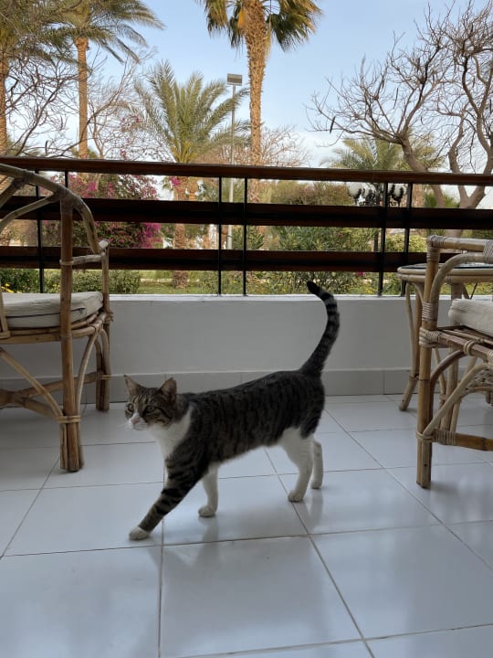 Sonstiges The Grand Hotel Hurghada