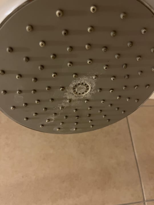 Zimmer Well Palace Side