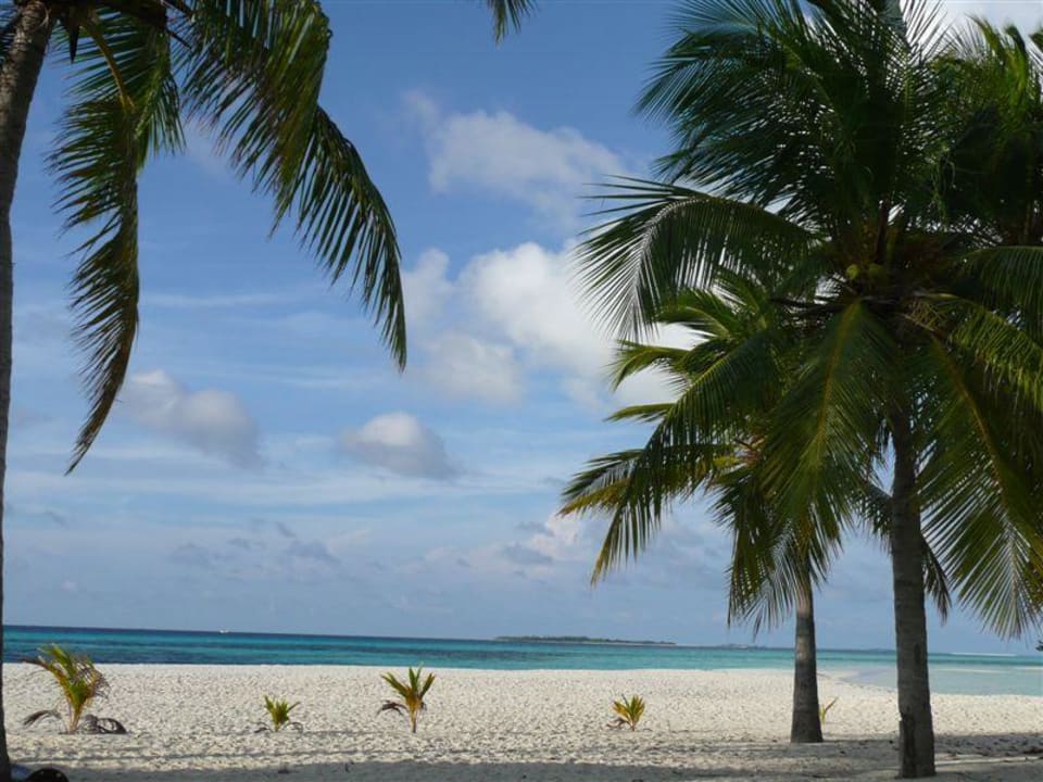 Blick aufs Meer Kuredu Island Resort & Spa