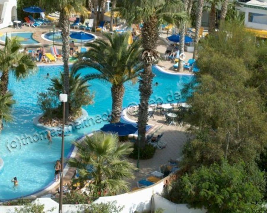 Poolnahaufnahme Hotel Nesrine