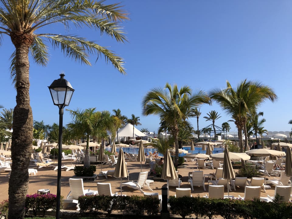 Pool Hotel Riu Palace Maspalomas Adults Only