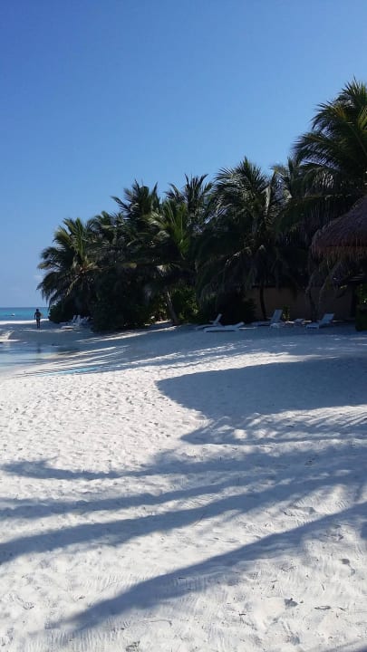 Strand Summer Island Maldives