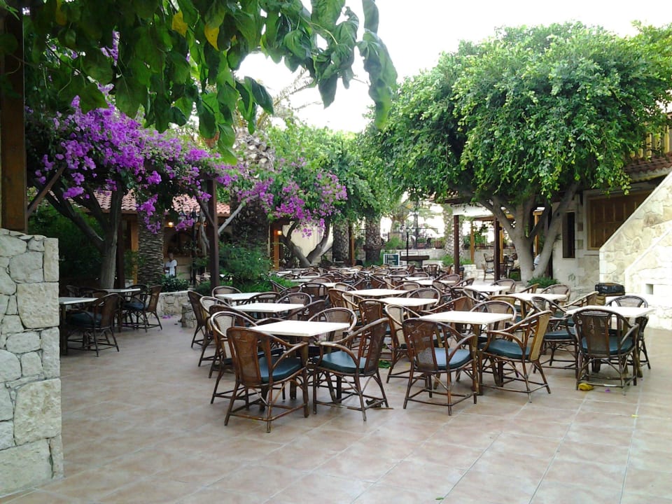 Innenhof mit Mythosbar Cactus Beach