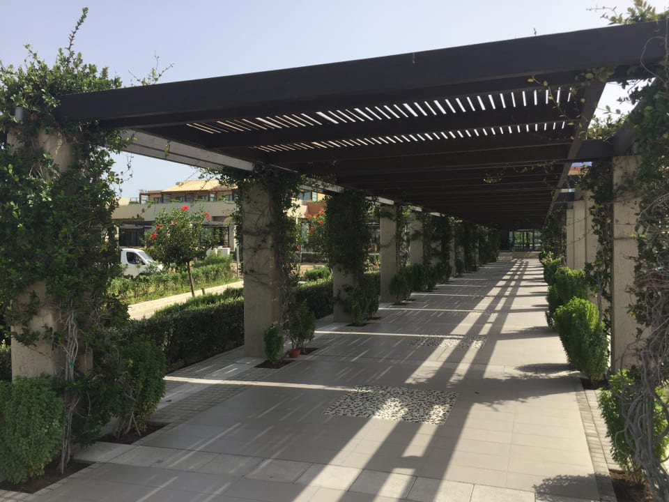 Gartenanlage Astir Odysseus Kos Resort & Spa