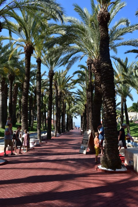 Gartenanlage Monachus Family Resort Sorgun