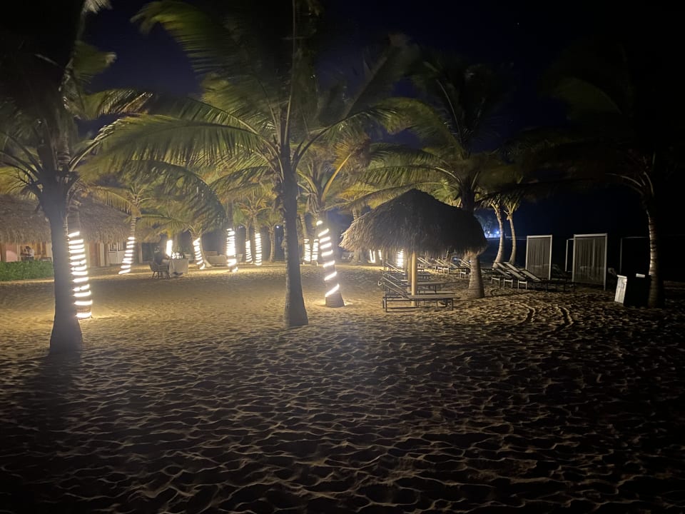 Strand Live Aqua Punta Cana - All Inclusive - Adults Only