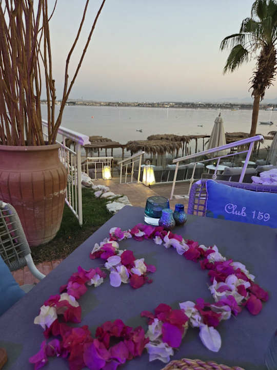 Gastro Fort Arabesque Resort, Spa & Villas