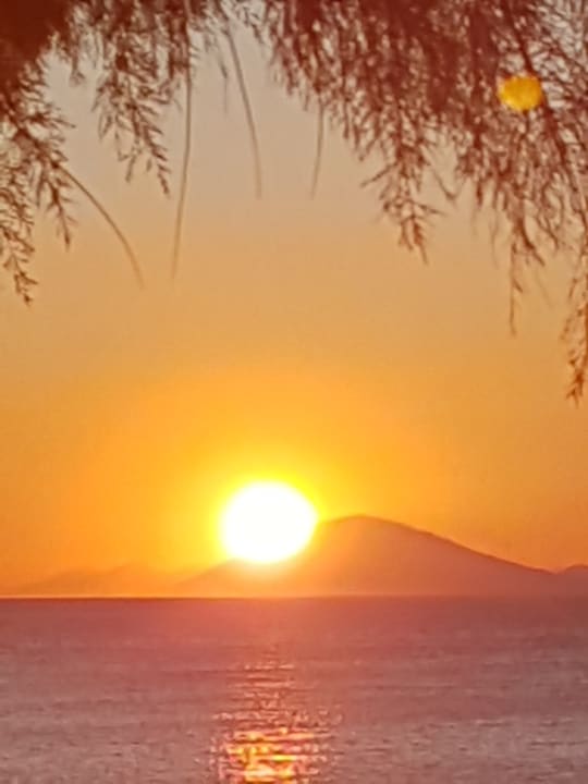 Ausblick Dimitra Beach Hotel & Suites