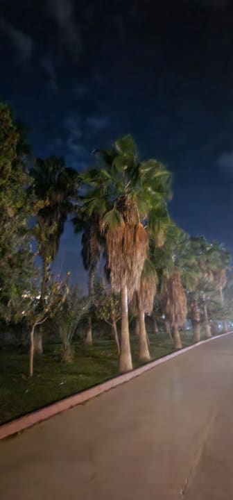 Gartenanlage VONRESORT Golden Beach