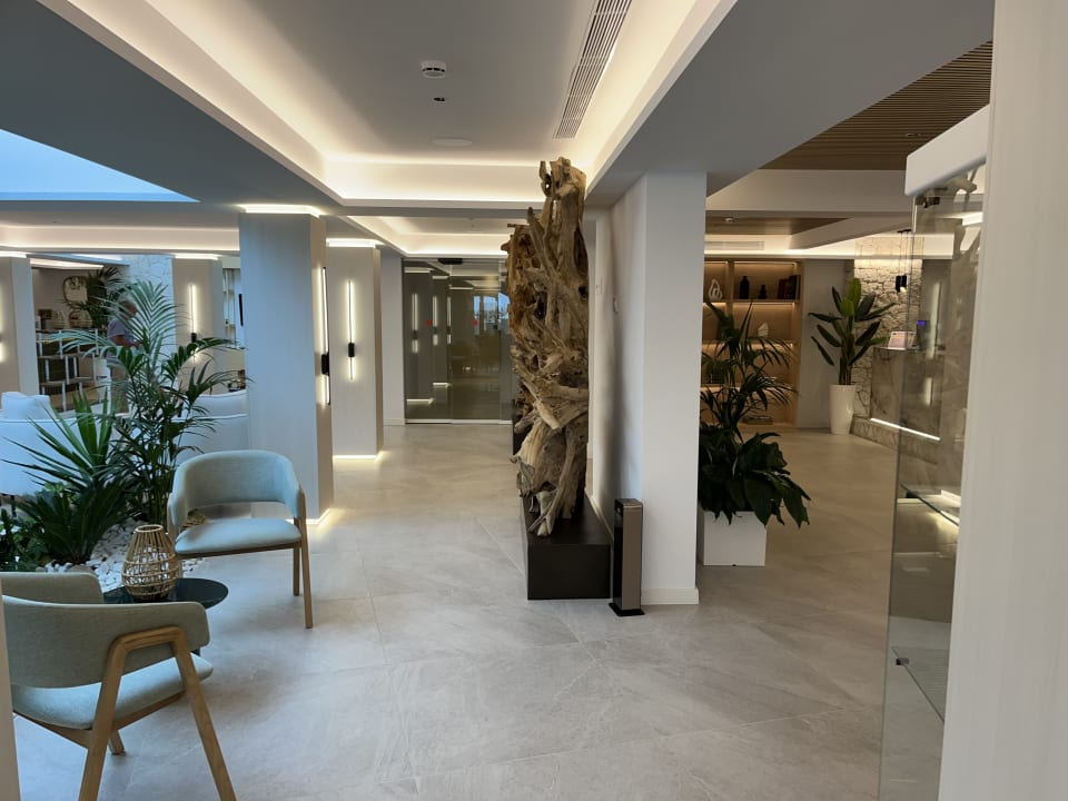 Lobby Valentin Somni Hotel & Suites