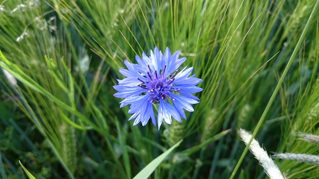 Außenansicht Sonnhof Reit im Winkl