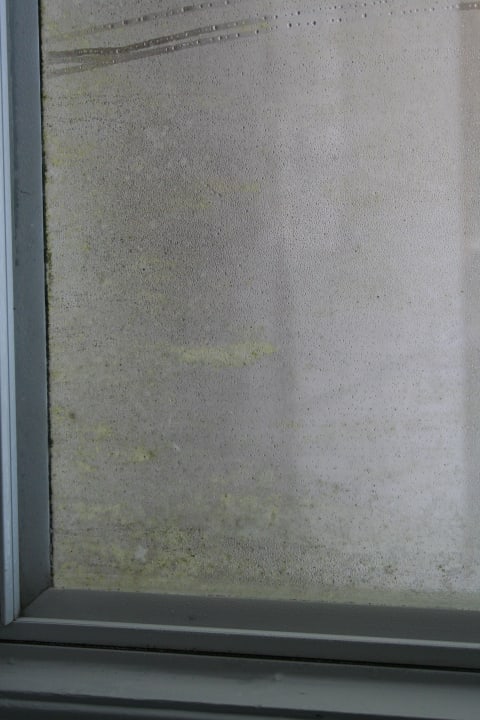 SCHMUTZIGES FENSTER Hotel Indigo St. Petersburg Downtown