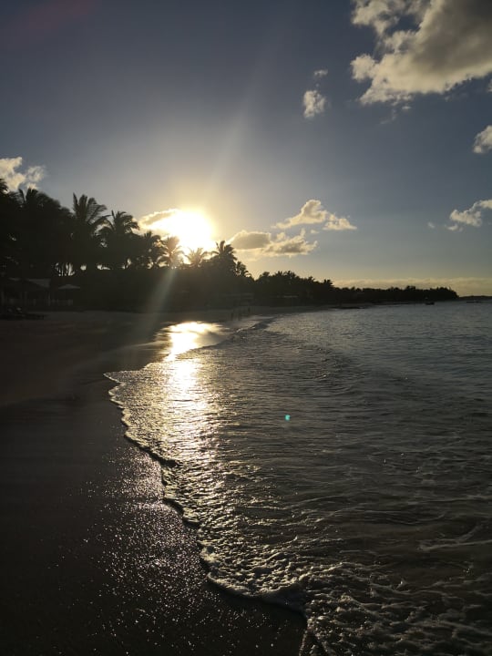 Strand Constance Belle Mare Plage