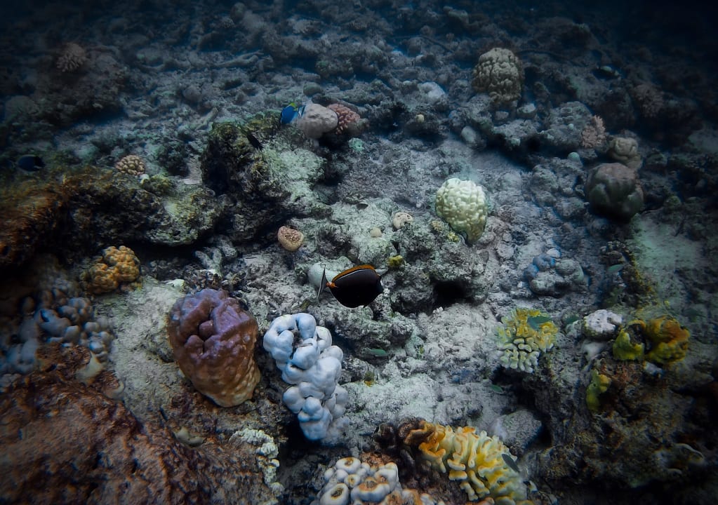 Riff NH Collection Maldives Reethi Resort