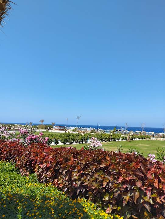 Ausblick Three Corners Happy Life Beach Resort